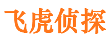 西双版纳侦探